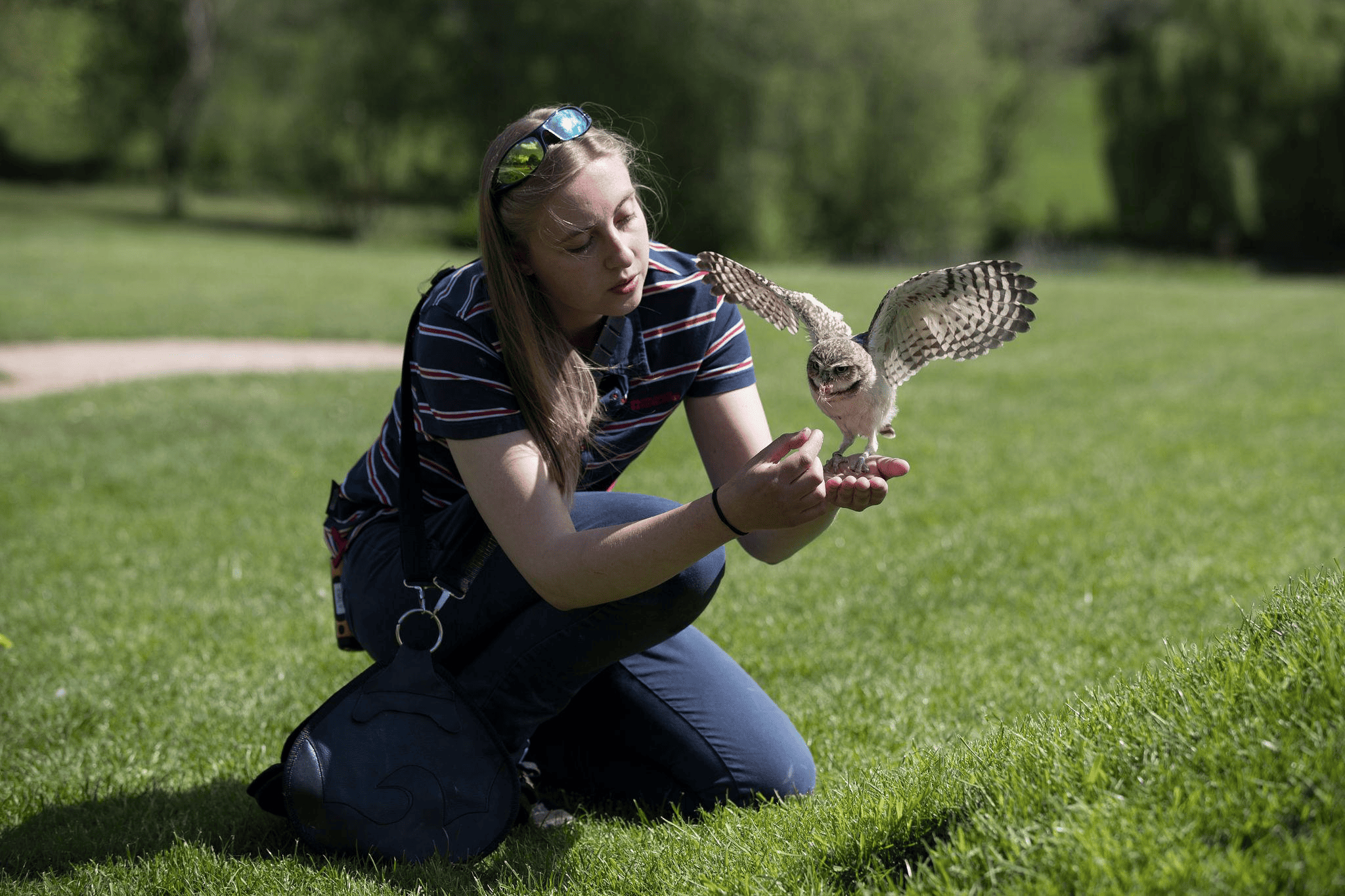 Ambassador bird with handler