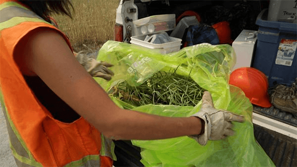 Large heavy-duty bulk bag used for hauling plant debris