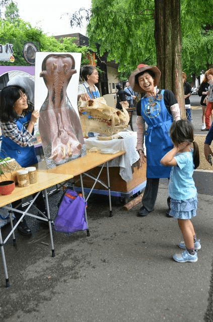 Volunteer engaging a child at a wildlife education booth during a community event