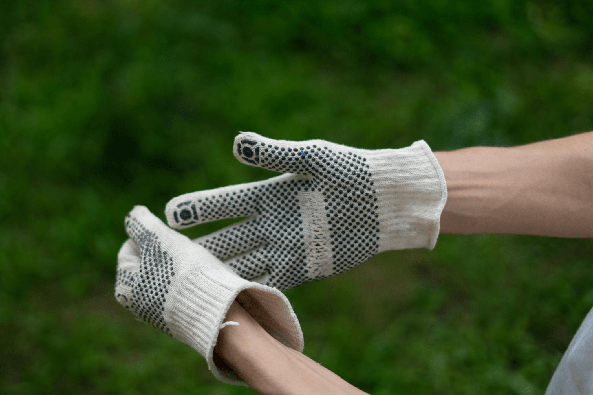 Protective gardening gloves for handling thorny plants