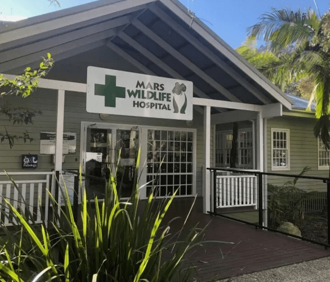 MARS Wildlife Hospital