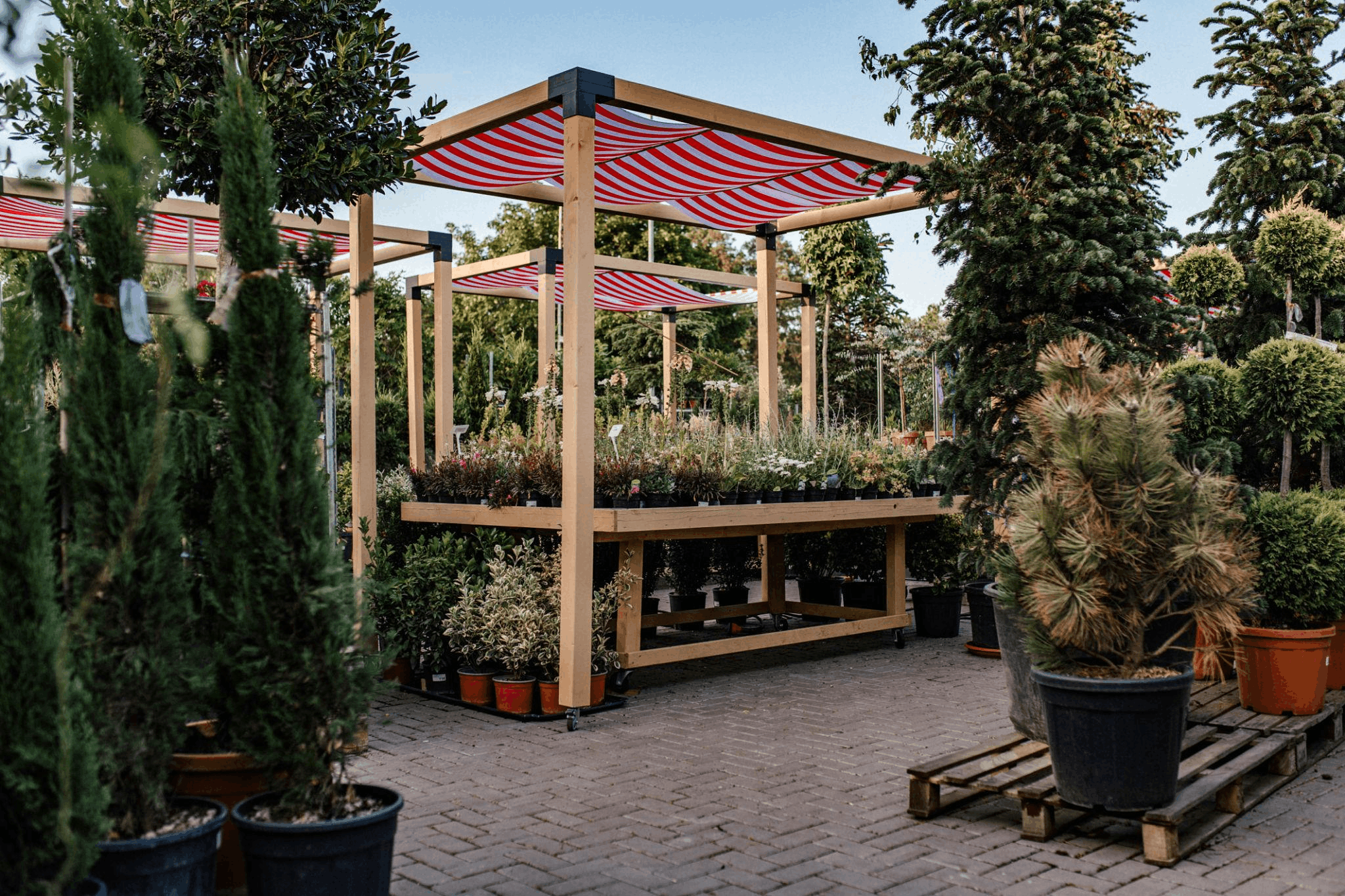 Small patio nursery with potted plants for sale