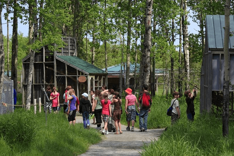 School group participating in a guided wildlife tour