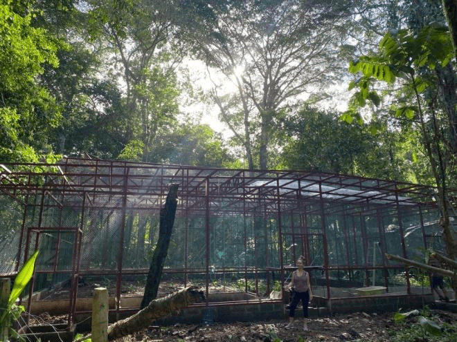 Wildlife enclosures