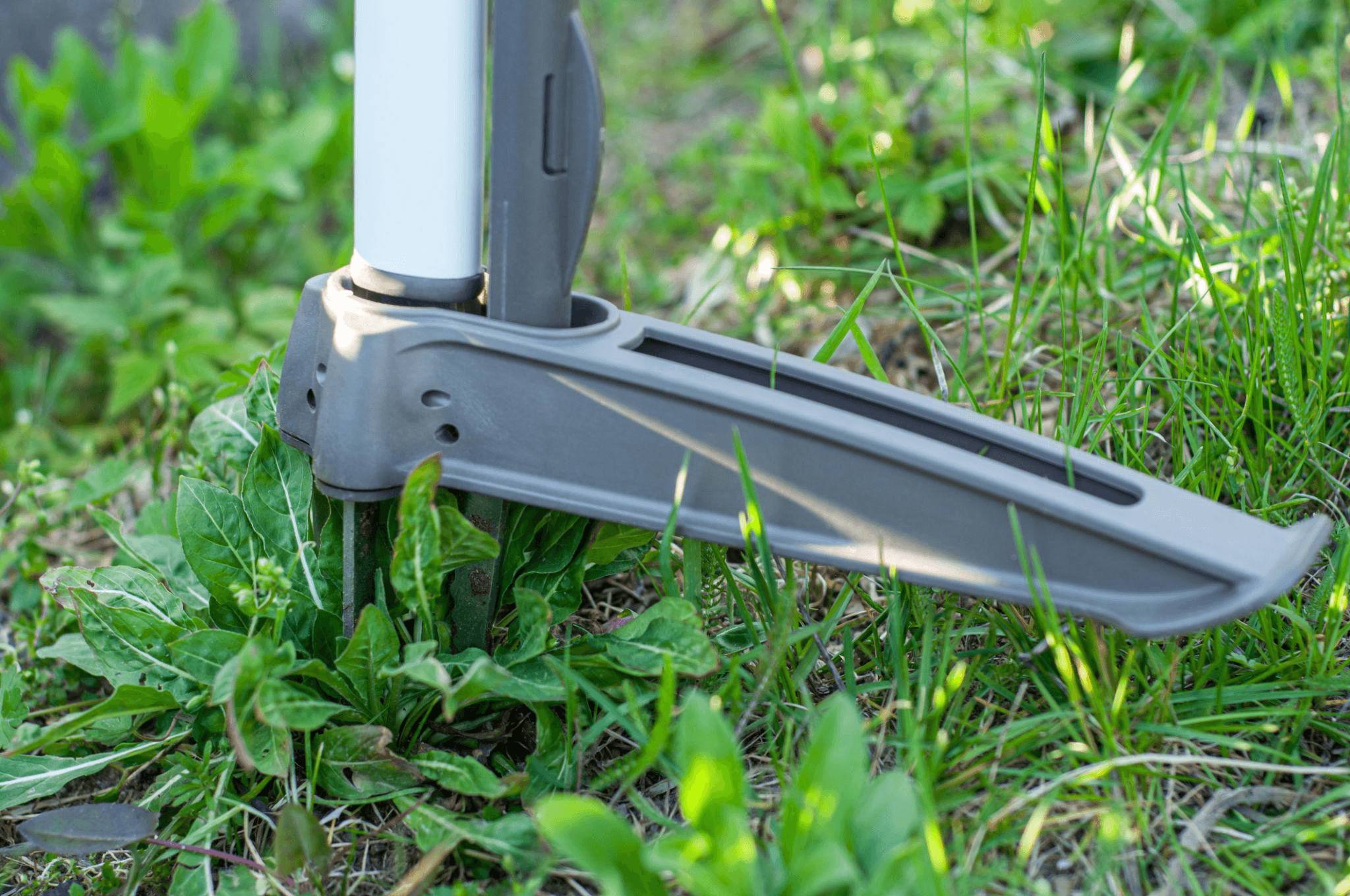 Compact weed removal tool pulling a small invasive plant