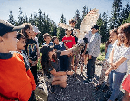 Children interacting with an owl during a tour